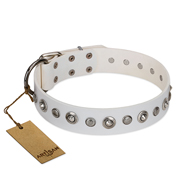 "Infinite Purity" White FDT Artisan Leather Rottweiler Collar with Elegant Decorations "Infinite Purity" White FDT Artisan Leather Rottweiler Collar with Elegant Decorations
