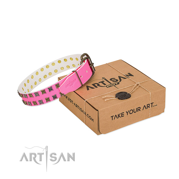 Leather collar with exceptional decorations for your doggie
