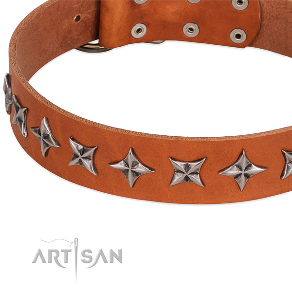 Easy wearing decorated dog collar of fine quality full grain genuine leather