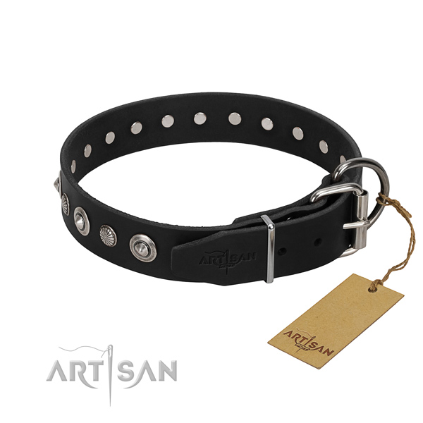 High quality leather dog collar with top notch adornments