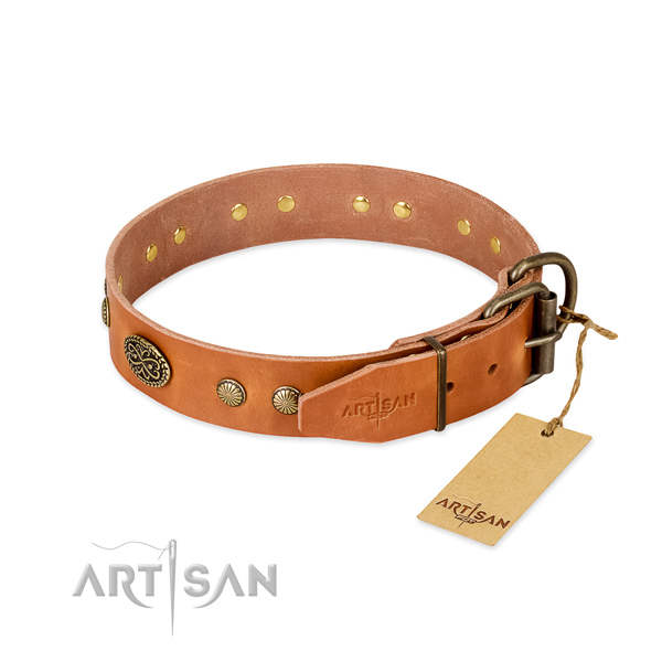 Corrosion proof traditional buckle on leather dog collar for your pet