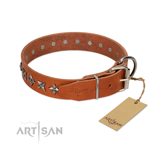 Stylish walking studded dog collar of top quality full grain leather