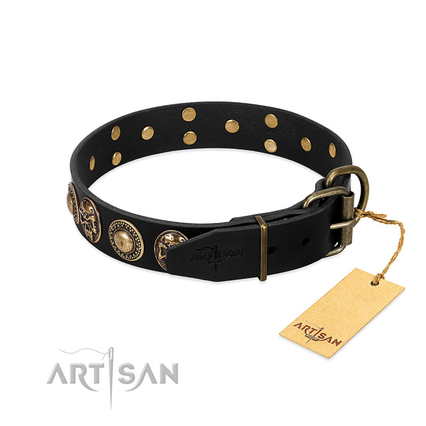 Rust-proof embellishments on daily use dog collar
