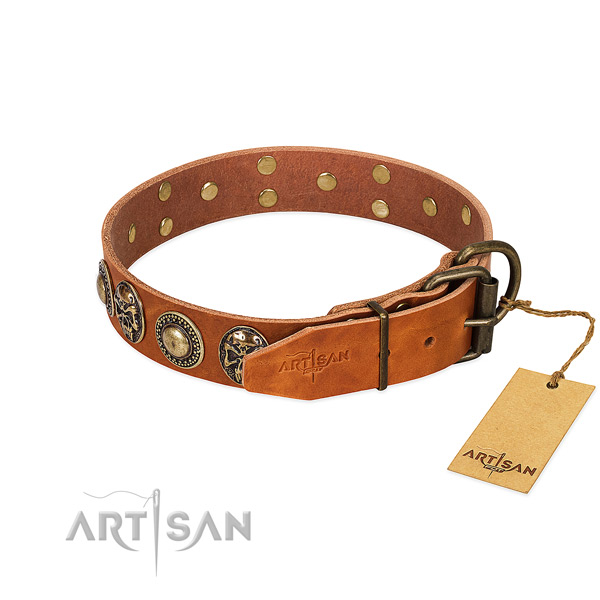 Rust-proof decorations on everyday use dog collar