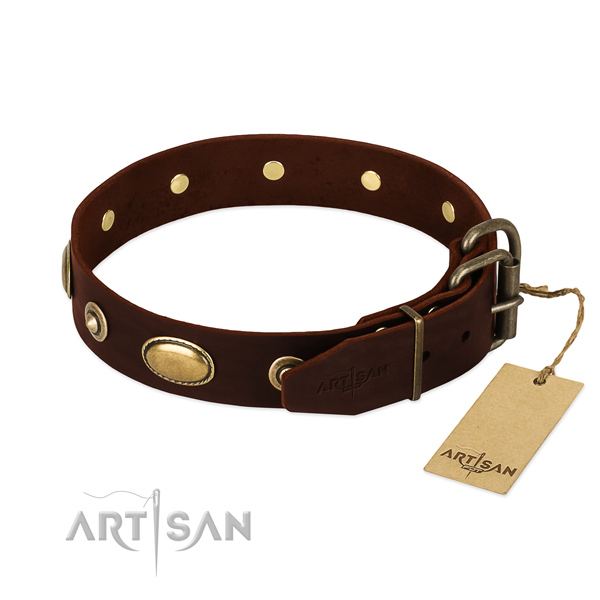 Corrosion resistant embellishments on genuine leather dog collar for your four-legged friend