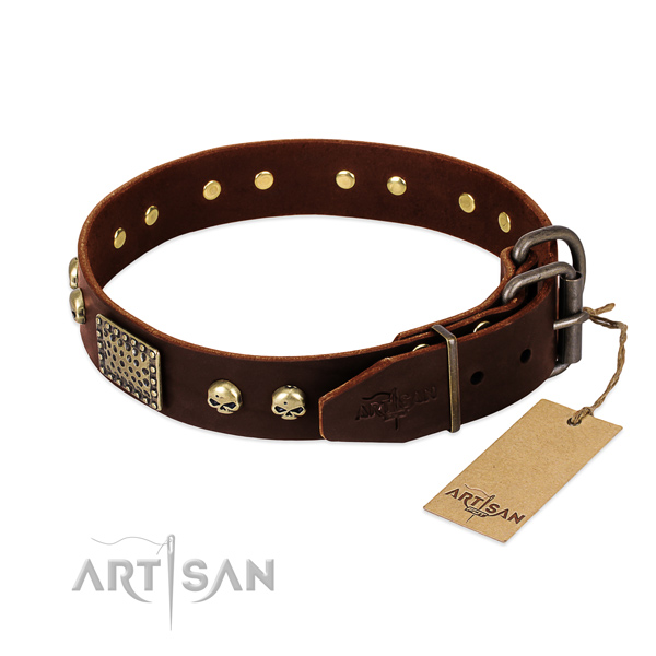 Corrosion proof traditional buckle on daily use dog collar