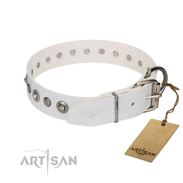 Durable leather dog collar with incredible decorations