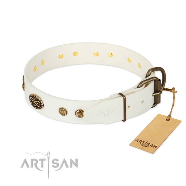 Corrosion resistant adornments on full grain natural leather dog collar for your four-legged friend