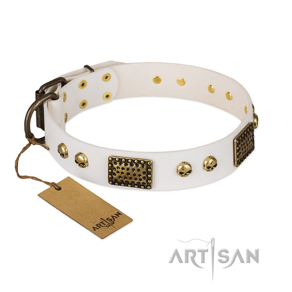 Rust resistant fittings on everyday walking dog collar