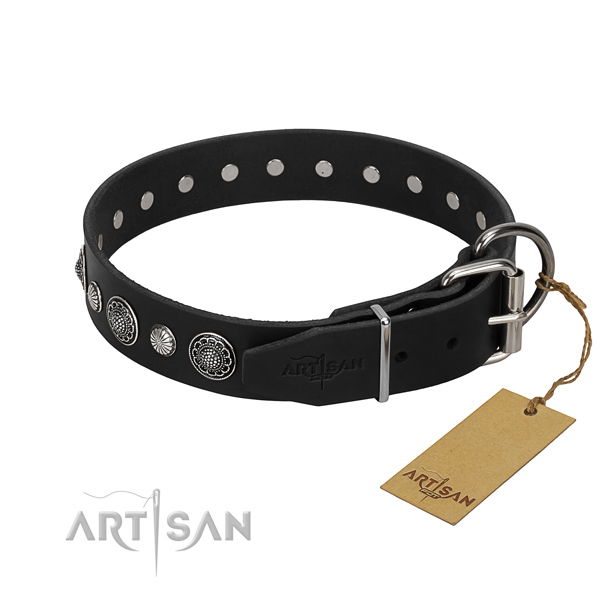 Fine quality full grain leather dog collar with fashionable studs