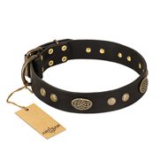 "Perfect Tracery" FDT Artisan Black Leather Rottweiler Collar with Old Bronze Look Plates and Circles "Perfect Tracery" FDT Artisan Black Leather Rottweiler Collar with Old Bronze Look Plates and Circles