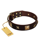 "Choco Dreams" FDT Artisan Brown Leather Rottweiler Collar with Squares and Stars