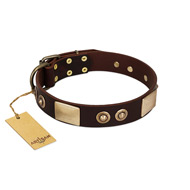 "Sense of Freedom" FDT Artisan Brown Leather Rottweiler Collar with Old Bronze-Plated Studs and Plates