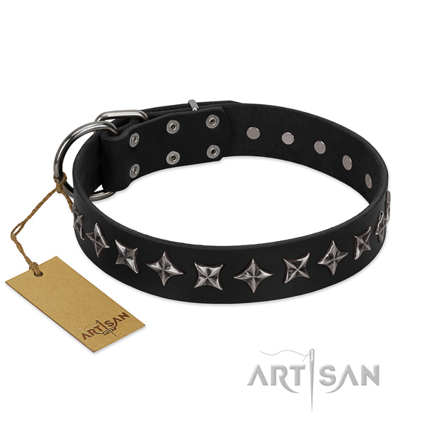 Easy wearing dog collar of top quality genuine leather with studs