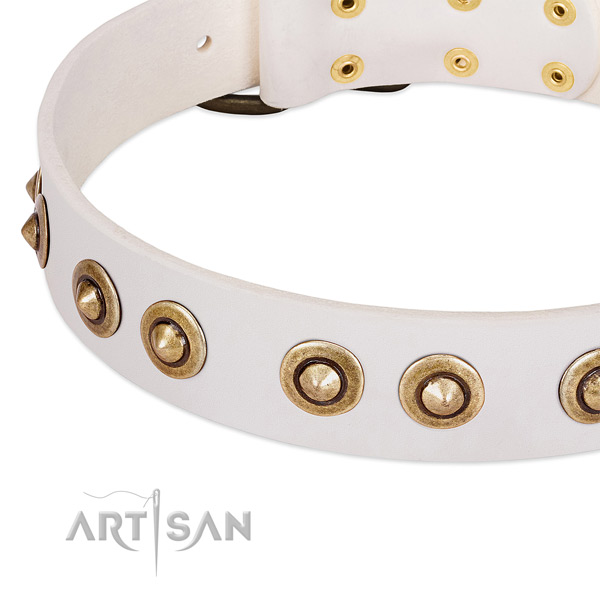 Corrosion proof embellishments on genuine leather dog collar for your dog