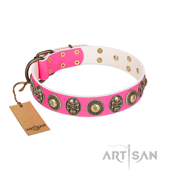 Easy to adjust leather dog collar for stylish walking your canine
