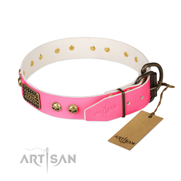 Rust-proof embellishments on stylish walking dog collar