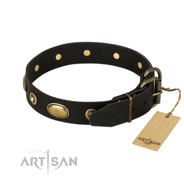 Reliable embellishments on leather dog collar for your four-legged friend