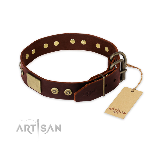 Corrosion resistant adornments on stylish walking dog collar