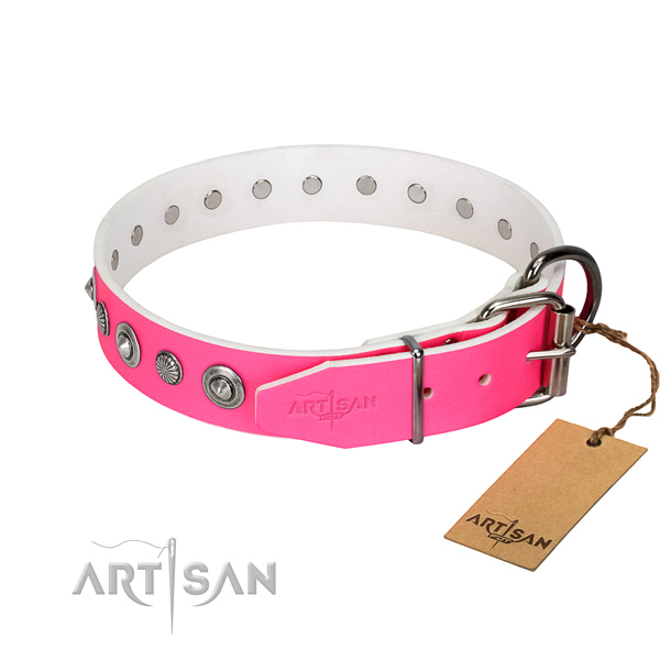 Finest quality full grain genuine leather dog collar with extraordinary adornments