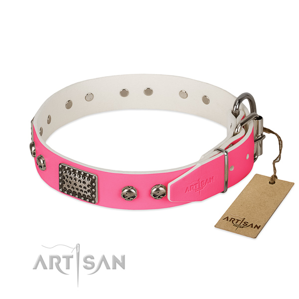 Strong D-ring on daily walking dog collar