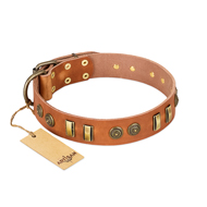 "Natural Beauty" FDT Artisan Tan Leather Rottweiler Collar with Old Bronze-like Circles and Plates "Natural Beauty" FDT Artisan Tan Leather Rottweiler Collar with Old Bronze-like Circles and Plates
