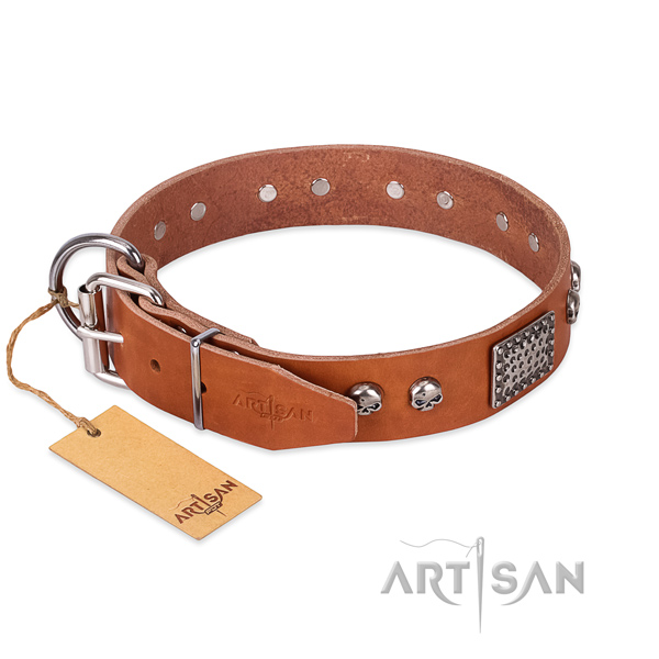 Rust resistant decorations on handy use dog collar