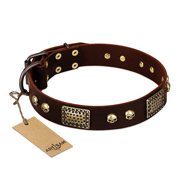 "Magic Amulet" Brown Leather Rottweiler Collar with Skulls and Plates "Magic Amulet" Brown Leather Rottweiler Collar with Skulls and Plates