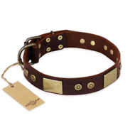 "Shining Armour" FDT Artisan Brown Leather Rottweiler Collar with Decorations "Shining Armour" FDT Artisan Brown Leather Rottweiler Collar with Decorations