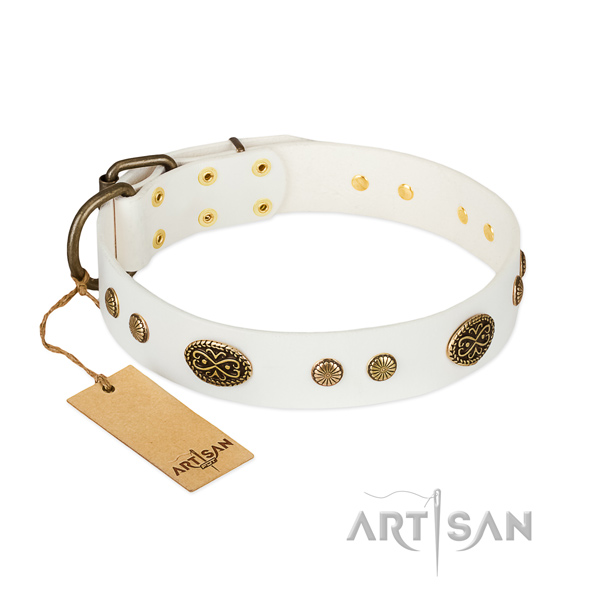 Rust-proof embellishments on genuine leather dog collar for your doggie