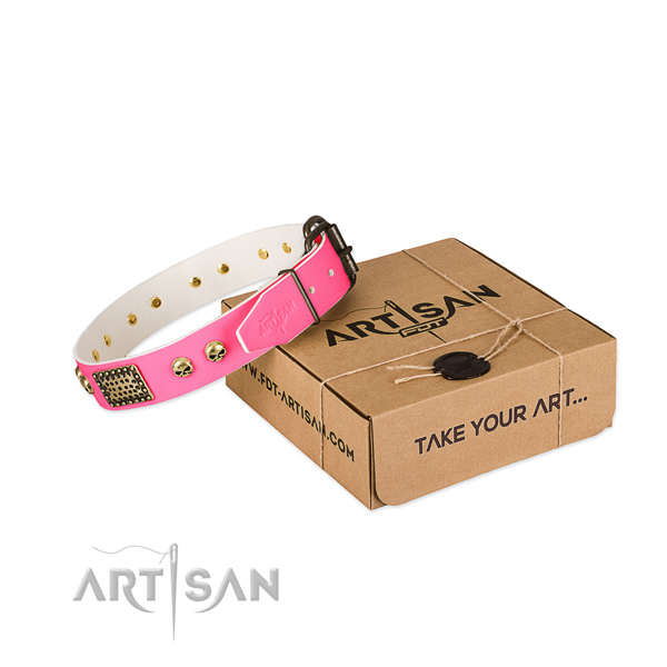 Rust-proof studs on dog collar for basic training