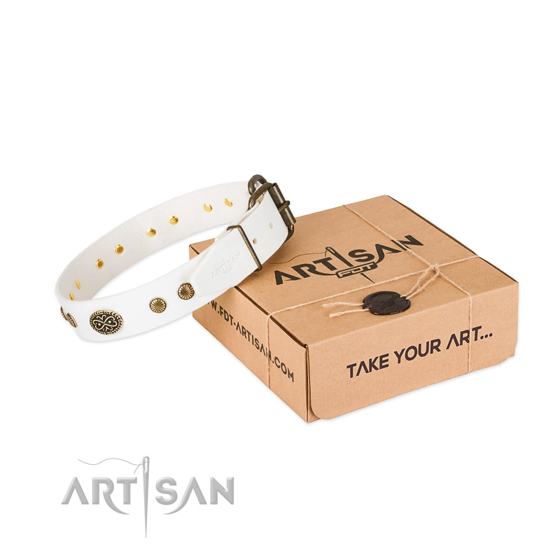 Strong embellishments on full grain genuine leather dog collar for your pet