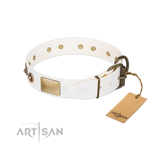 Rust resistant D-ring on leather dog collar for your canine
