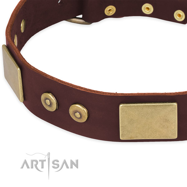 Full grain natural leather dog collar with decorations for everyday use