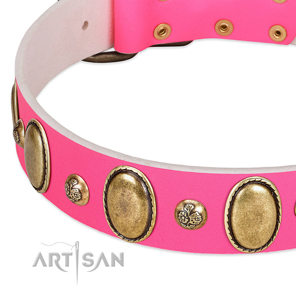 Comfy wearing top rate leather dog collar