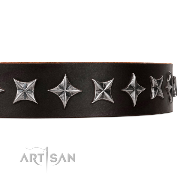 Everyday walking adorned dog collar of reliable genuine leather
