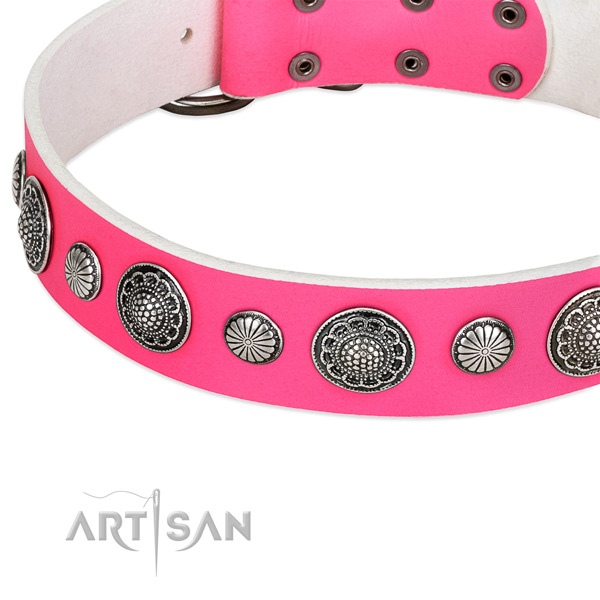 Full grain genuine leather collar with rust resistant traditional buckle for your handsome canine