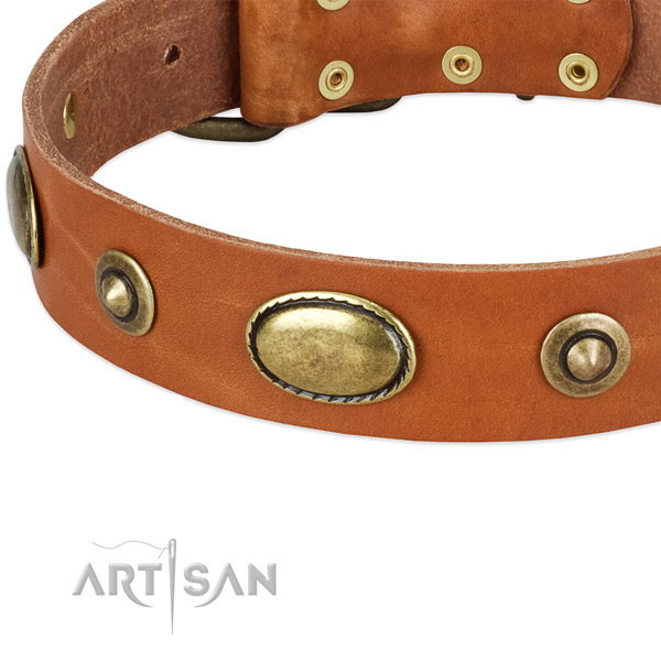 Strong embellishments on full grain natural leather dog collar for your pet