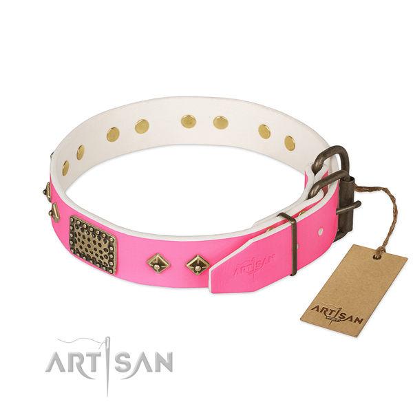 Corrosion proof traditional buckle on everyday walking dog collar