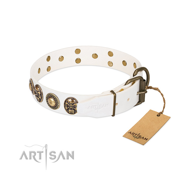 Corrosion proof traditional buckle on everyday use dog collar