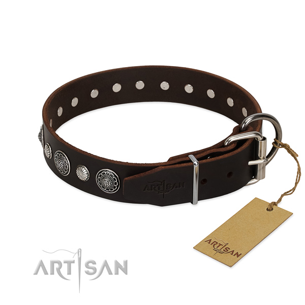 Quality genuine leather dog collar with incredible adornments