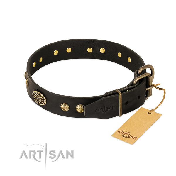 Rust-proof fittings on full grain natural leather dog collar for your pet