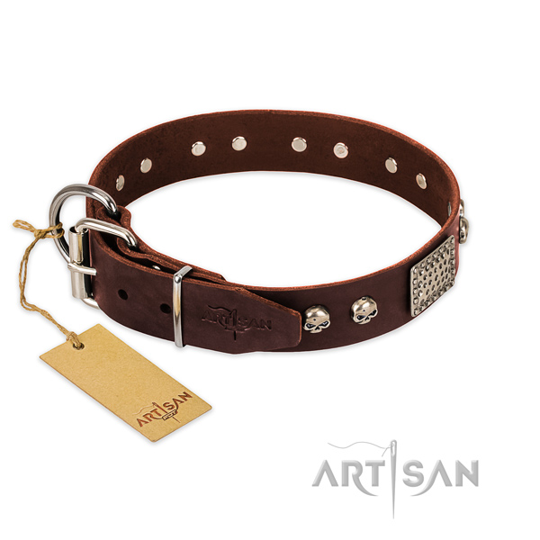 Strong studs on easy wearing dog collar