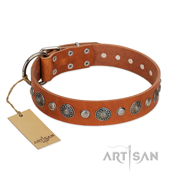 Reliable genuine leather dog collar with corrosion resistant traditional buckle