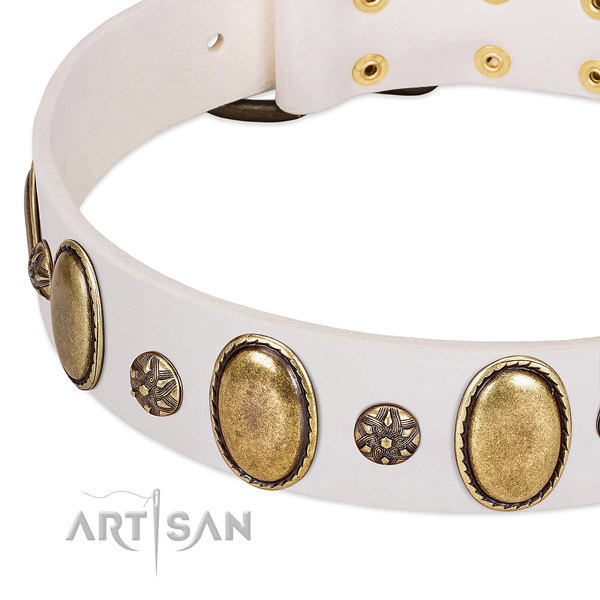 Daily use reliable leather dog collar
