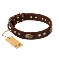 "Old-fashioned Glamor" FDT Artisan Brown Leather Rottweiler Collar with Old Bronze Look Plates and Circles "Old-fashioned Glamor" FDT Artisan Brown Leather Rottweiler Collar with Old Bronze Look Plates and Circles