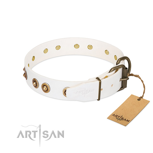 Corrosion proof adornments on leather dog collar for your canine