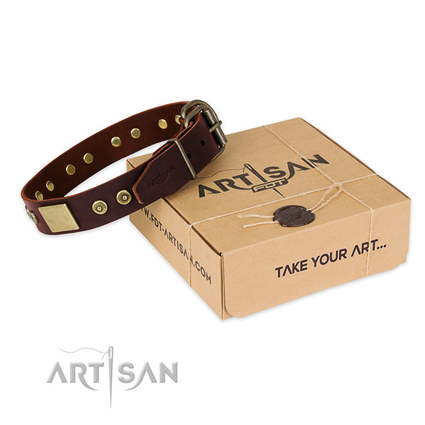 Rust-proof hardware on dog collar for easy wearing