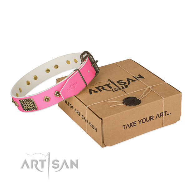 Reliable studs on dog collar for everyday use