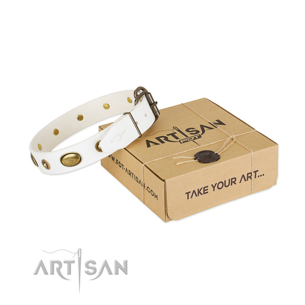 Top quality full grain genuine leather collar for your stylish canine